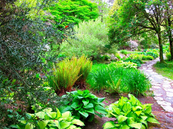 Muckross House Garden Ireland
