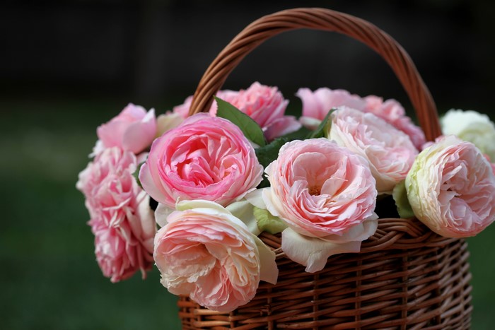 Pink roses in a wicker basket