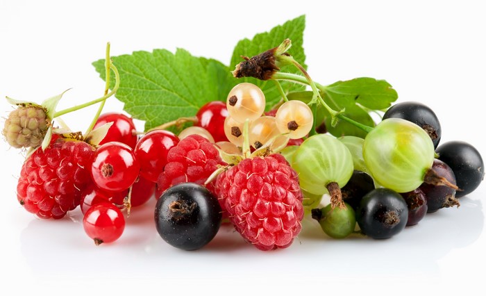 Assortment of Fresh Berries and Currants