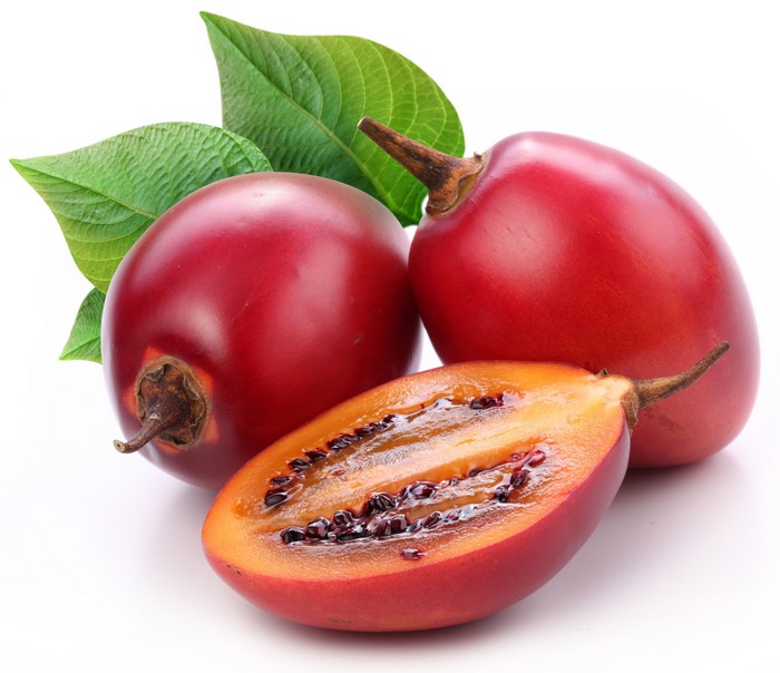 Tamarillo fruit with leaves