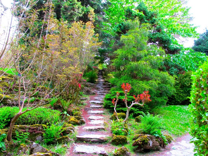 Stone path through a garden with trees and mossy rocks