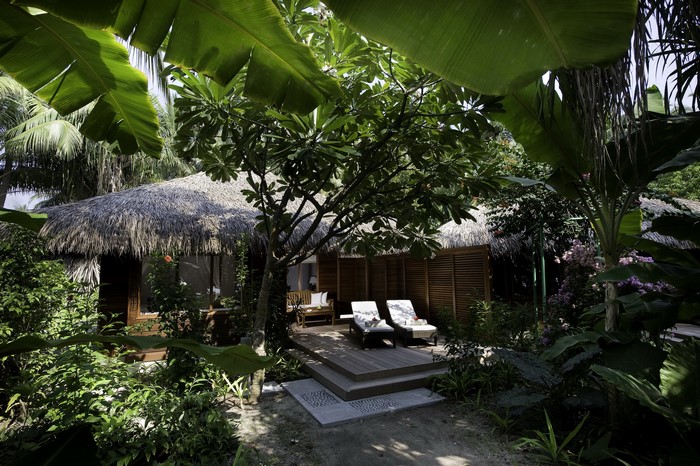 Thatched roof bungalows in a tropical garden
