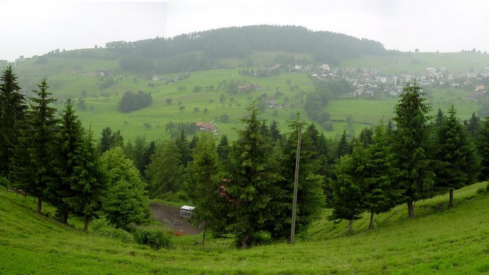 Village in a green valley with pine trees