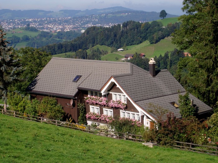 Brown house with flower boxes in Switzerland