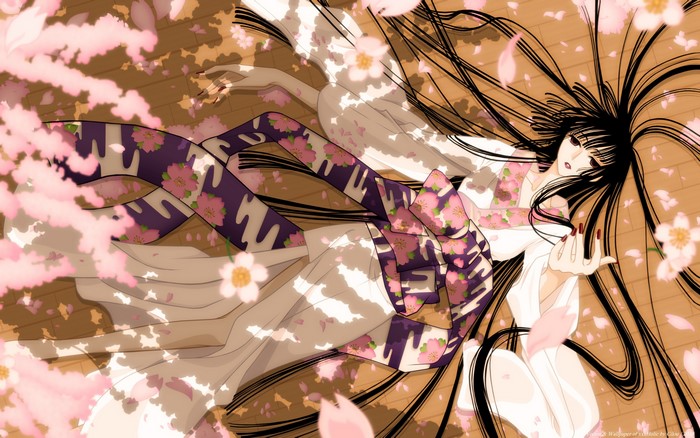 xxxHOLiC: Kohane Tsuyuri surrounded by cherry blossoms