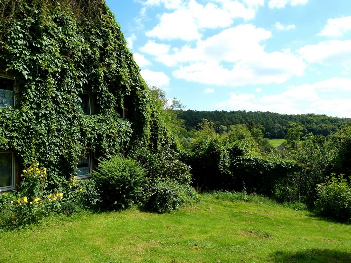Ivy-covered house with a green landscape in Germany