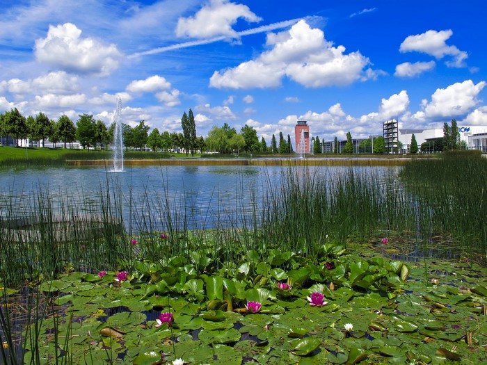 Pond with water lilies and fountains in Munich, Germany