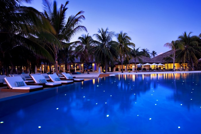 Resort pool with lounge chairs and palm trees at dusk