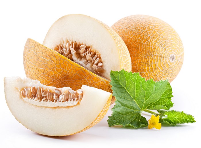 Cantaloupe melons with a leaf and flower