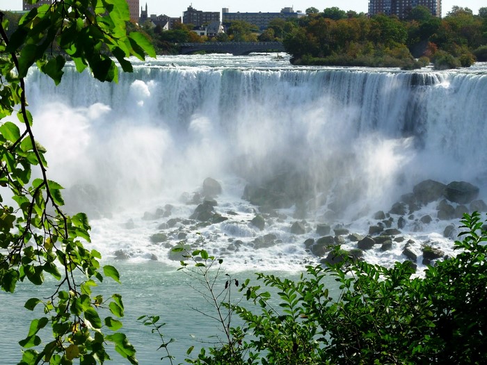 Niagara Falls with foreground foliage