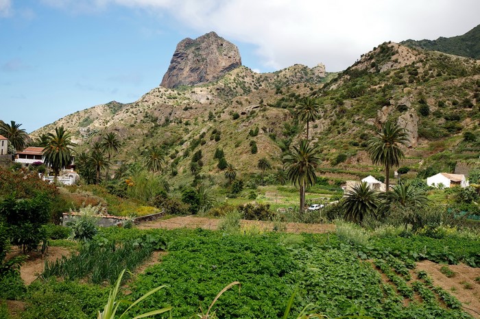 Mountain landscape with palm trees and houses