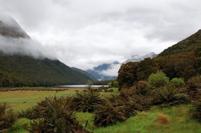 Misty mountains and lake in a park