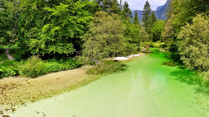Clear green river flowing through a forest with mountains in the background