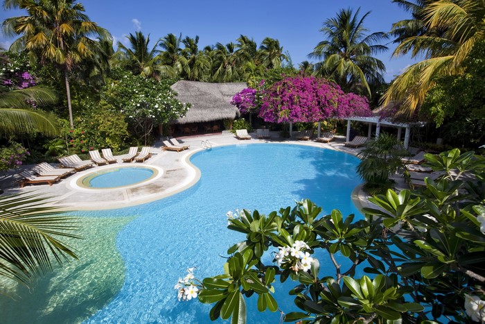 Resort swimming pool with lounge chairs and palm trees in the Maldives