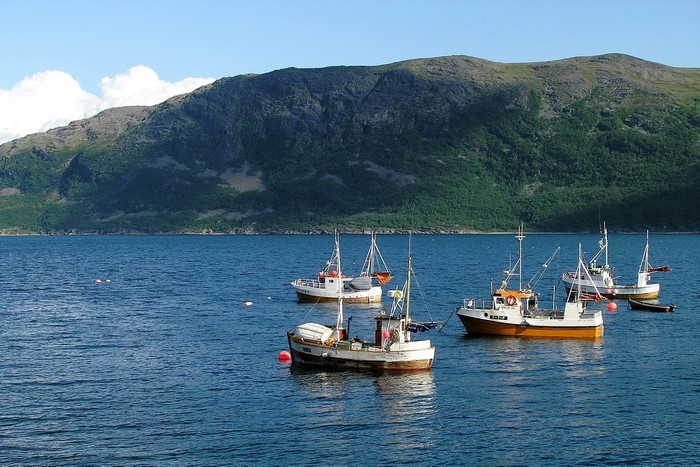 Fishing boats anchored in a bay with a mountain backdrop