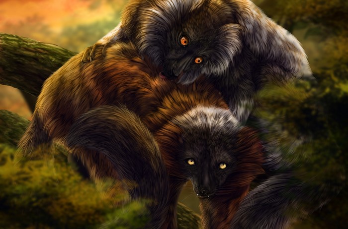 Two Lemurs on a Tree Branch