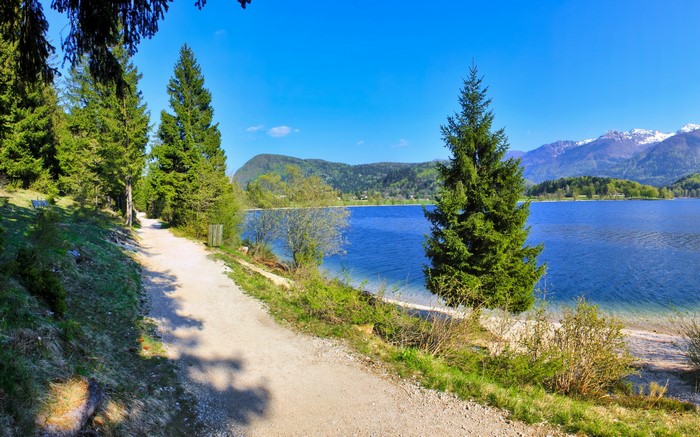 Lake Bohinj, Slovenia, with Mountains and Forest Path