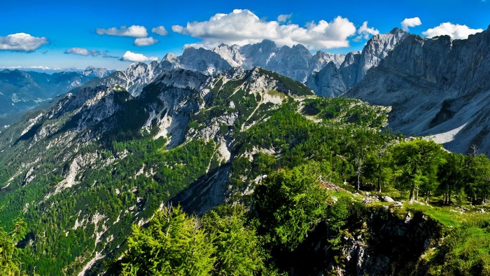 Jagged mountain range with green forests under a blue sky