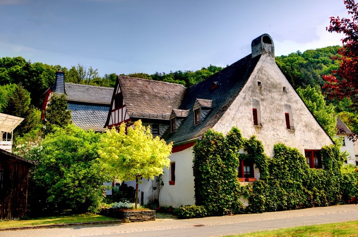 Traditional German houses surrounded by trees