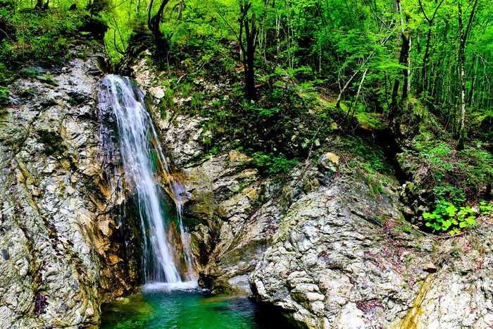 Waterfall cascading into a pool in a lush forest