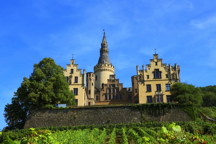 Arenfels Castle in Germany with vineyards