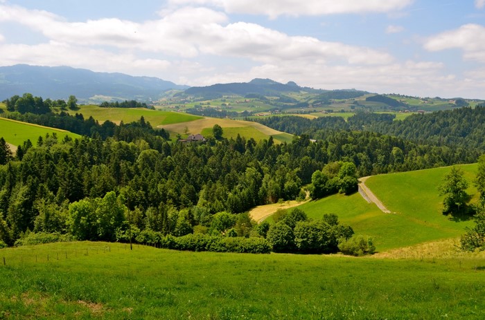 Green rolling hills and forests in Switzerland