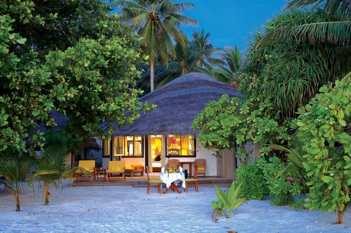 Maldives resort bungalow with thatched roof and palm trees