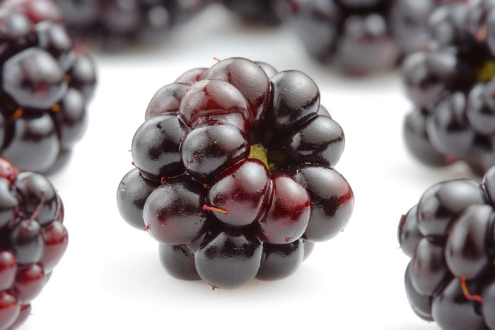 Blackberry fruit close-up