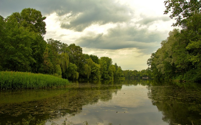 A tranquil lake surrounded by lush green trees under a cloudy sky.