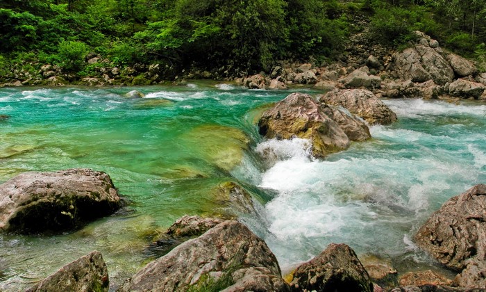 River Soca with Rocks and Forest