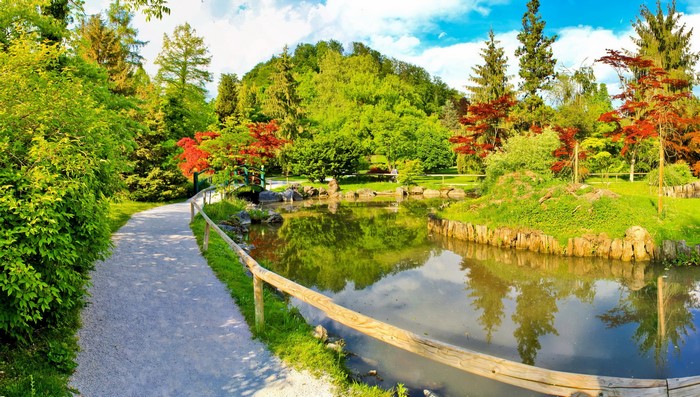 Japanese Garden with Pond and Trees