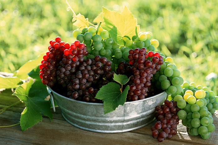 Grapes in a metal bucket on a wooden surface