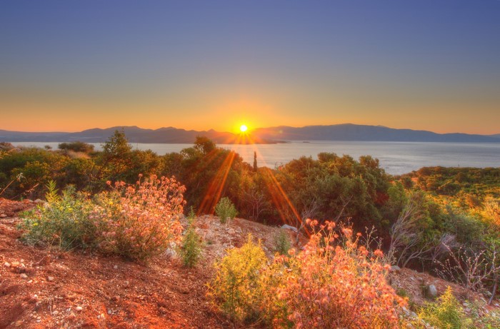 Sunset over the sea with mountains and plants