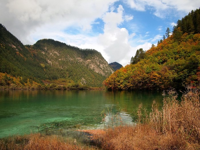 Autumn forest reflecting in a clear lake
