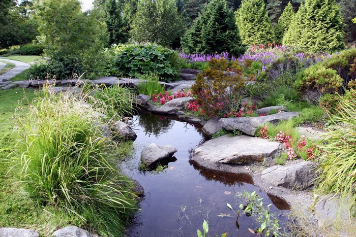 Garden with a pond and flowers