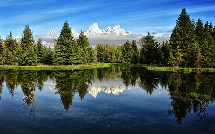 Reflection of Teton Mountains in a calm lake