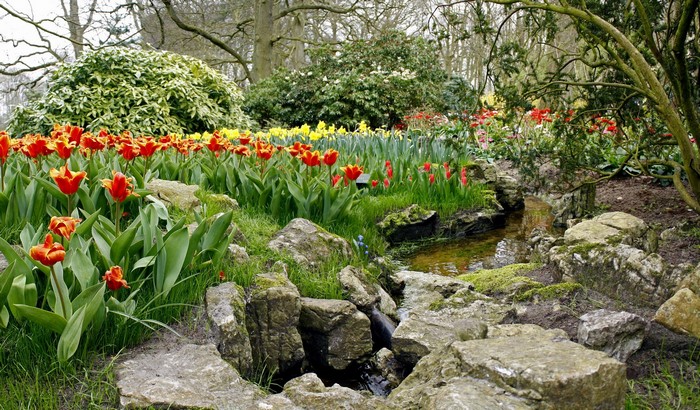 Keukenhof Gardens Lisse with Tulips and Stream