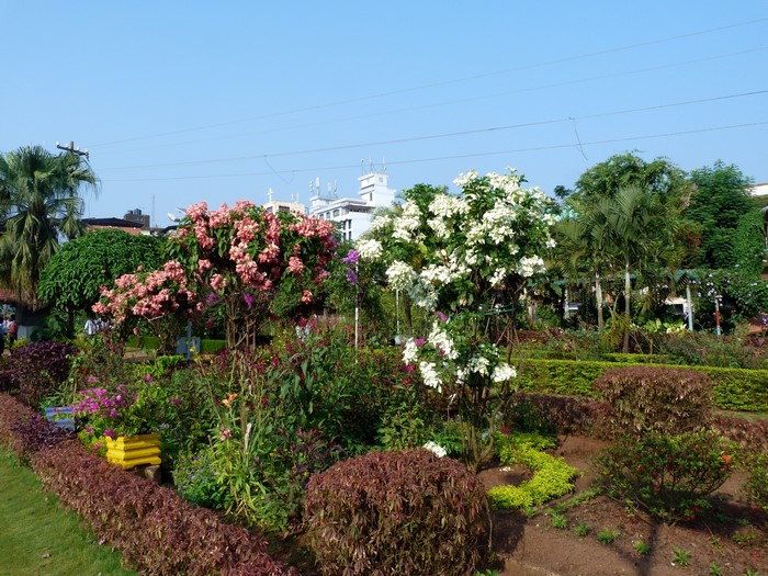Beautiful garden with blooming trees and plants