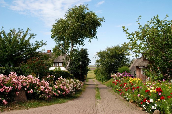 A cobblestone path lined with flowers leads to houses in Germany.