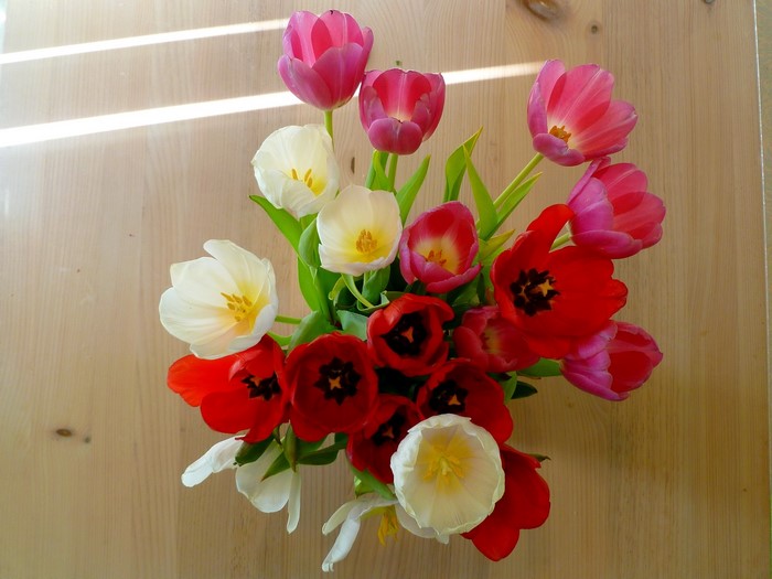 Bouquet of colorful tulips on a wooden table