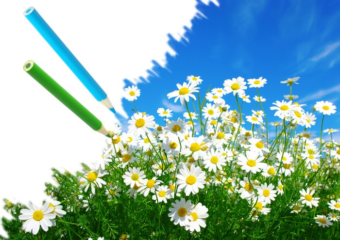 Blue and green pencils drawing daisies and sky