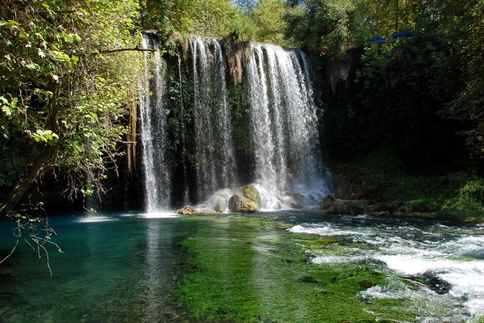 Waterfall cascading into a turquoise pool surrounded by trees