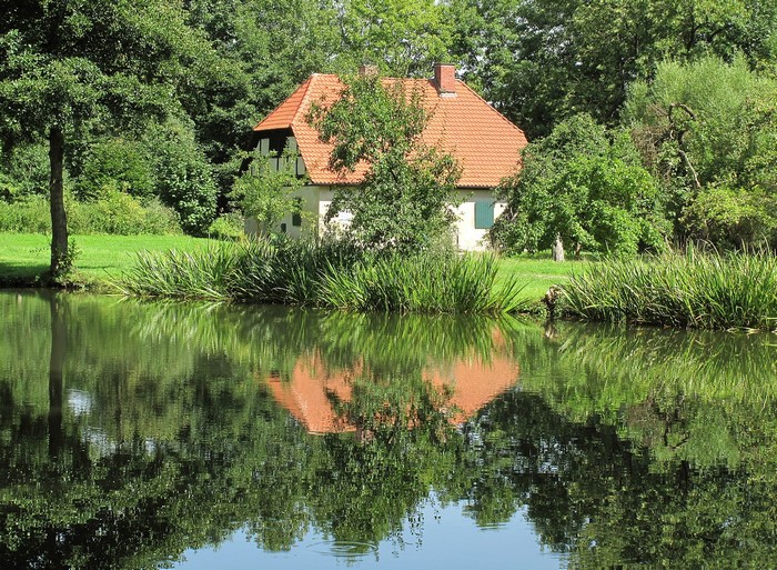 House reflected in a pond surrounded by trees