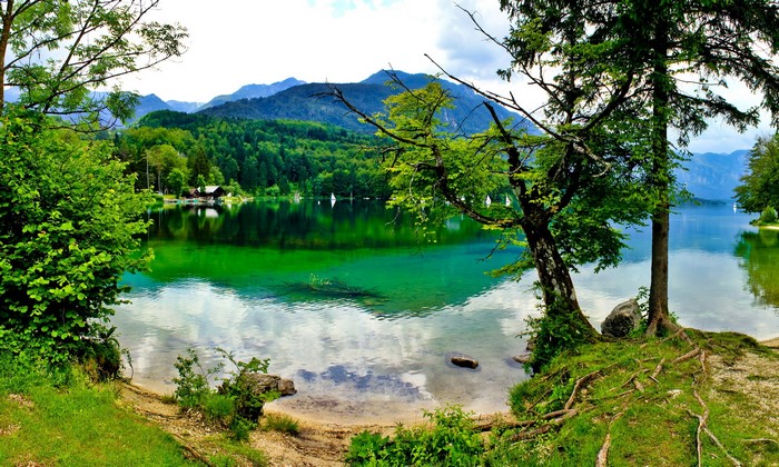 Lake Bohinj, Slovenia, with mountains and trees