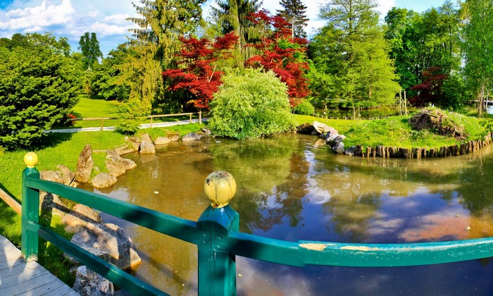 Japanese Garden with Pond and Red Maple Trees