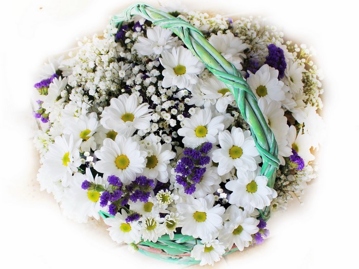 Basket of white daisies and purple flowers