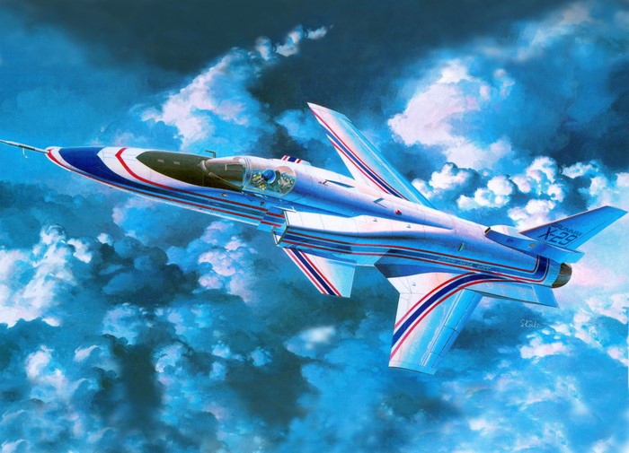 Grumman X-29 Airplane Painting Art