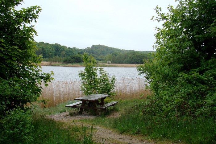 Picnic table by a lake with trees and hills