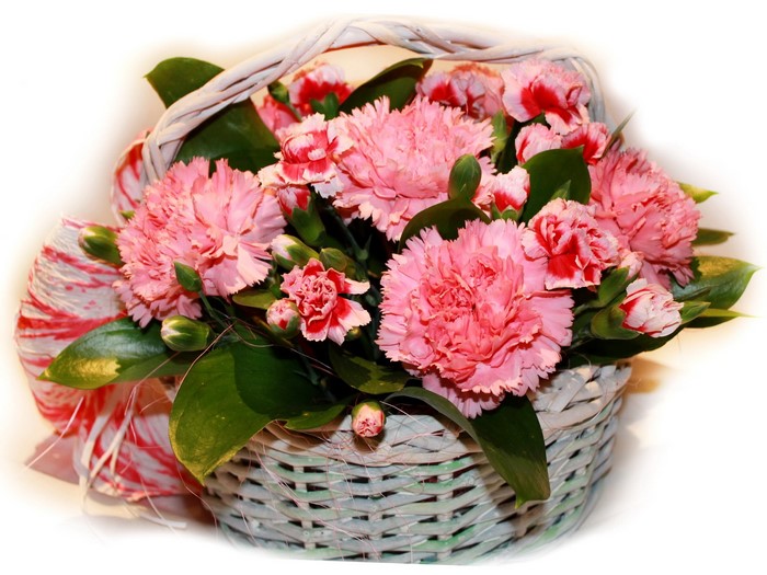 Pink Carnations in a Woven Basket