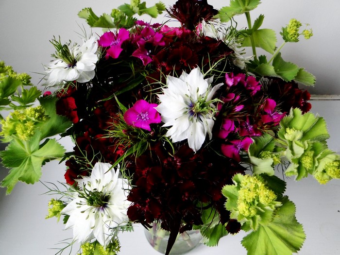 Bouquet of white, pink, and dark red flowers with green foliage